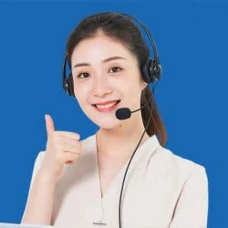 B&agrave; Anna Gao, Chuy&ecirc;n gia hỗ trợ kh&aacute;ch h&agrave;ng